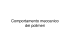 Comportamento meccanico dei polimeri