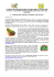 Dal 3 al 5 ottobre 2014 Sesta edizione di Orticolario