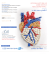 ANTICOAGULANTI ORALI AD AZIONE DIRETTA E FIBRILLAZIONE