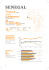 seneGal - Pico Adviser Group