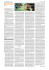 Modello 5 Aprile 2002 - Num.2 - pag. 5