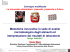 Presentazione di PowerPoint