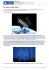 Da Hubble a James Webb - INAF