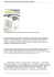 Global Green leader nelle certificazioni per gli
