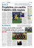 La Provincia 08/01/2016