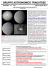Lettera n. 143 - Gruppo Astronomico Tradatese
