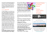 Scarica la brochure in formato PDF