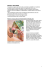 Scarica il PDF