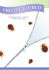bed bug bedding encasements - Romani Disinfestazioni Srl