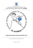 Guida alle principali tecniche alpinistiche in AG