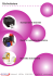 Etichettatura - directpack.ch