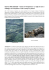 ISOLA DI KRK (CROAZIA) – Falesia di “Portafortuna”