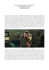 DIARIO CIENAMTOGRAFICO DI PRIMAVERA Shutter Island
