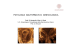 malformazioni uterine