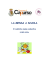 Linee guida