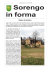 Bollettino Sorengo Informa N. 15 - aprile 2009