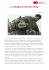 La battaglia di Hacksaw Ridge