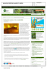 MAGAZINE.GREENPLANNER.IT (WEB2)
