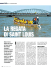 DI SAINT LOUIS LA REGATA
