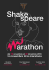 19 novembre 2016 maratona