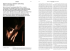 MONICA MAJOLI: PRIMARY MATERIALS FOR BLACK MIRRORS