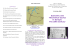 Economic and Theoretical Cycles in Europe: The 20th