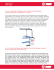 Scarica la news in formato PDF