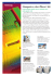 Stampante a colori Phaser® 360