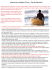 Diapositiva 1 - Balsa Wood Surfboards by Kun_tiqi