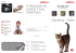 Flyer Genetik Katze IT 01-13.indd