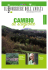 Scarica il file PDF