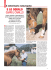 e lo squalo guarì il cavallo