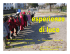 Esperienze di luce con i bambini di 5 anni