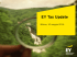 EY Tax Update