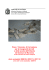 Piano triennale formazione 2009/2011