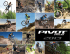 Untitled - Pivot Cycles