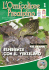 Ornicoltore Prealpino 1 free - Associazione Ornitologica Prealpina