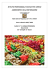 5 e documento di classe cucina