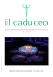 scarica pdf