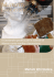 Scarica la Brochure - Mariani Informatica Srl