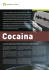 La cocaina: pianta sacra, rimedio «miracoloso» e droga alla moda