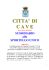 Sussidiario allo Sportello Unico - Collegato n°7