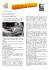 2006 numero 8 Dicembre