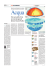 Scarica il pdf