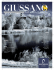 PDF: febbraio 2011 - Comune di Giussano