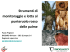 Strumenti di monitoraggio e lotta al punteruolo rosso delle