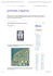 Visualizza l`articolo