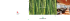 Arredo giardino GREENWOOD 1
