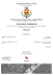 Studio del commercio - comune di Orio al serio