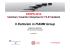 (Microsoft PowerPoint - Il Dottorato in FIAMM Group_definitiva \(3